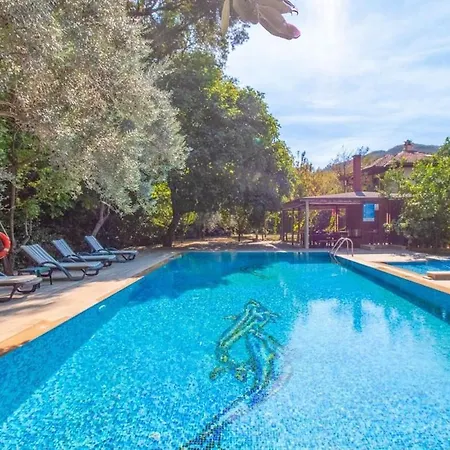 With Private Pool In Marmaris Willa *
